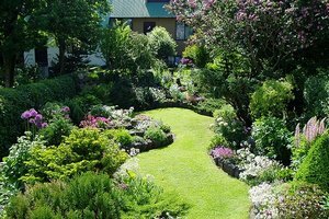 Цветники схемы посадки