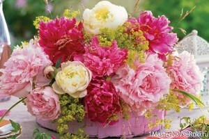 Размножение пионов 